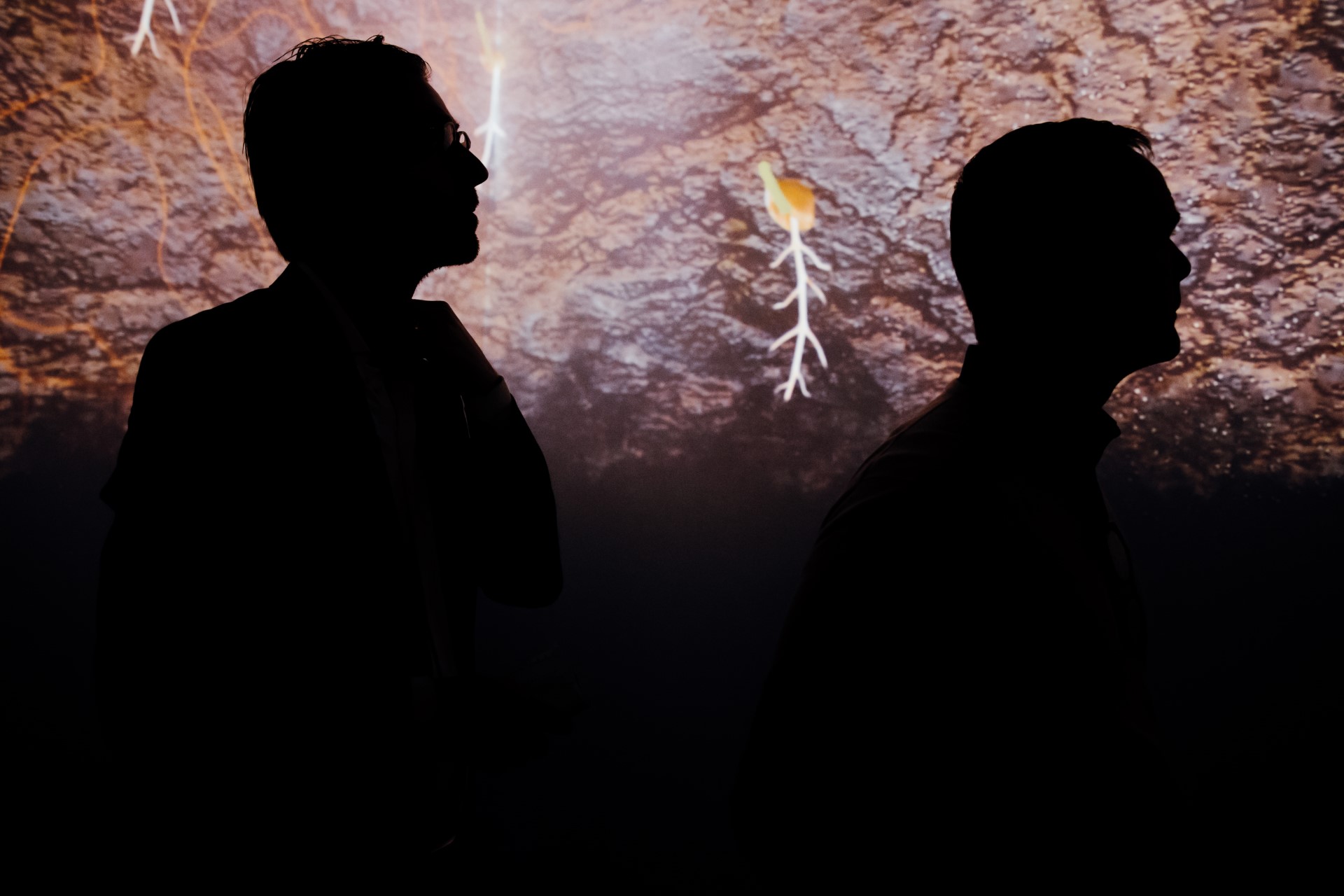 Koninklijke Amarant bakkers